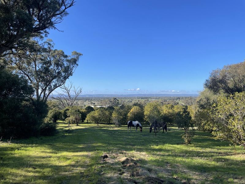 103 Doghill Road, Baldivis