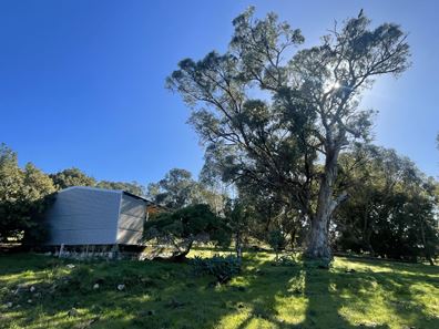103/ Doghill Road, Baldivis WA 6171