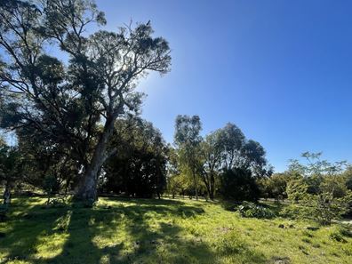 103/ Doghill Road, Baldivis WA 6171