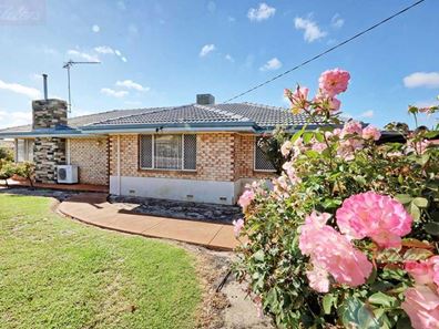 117 Earl Street, Narrogin WA 6312