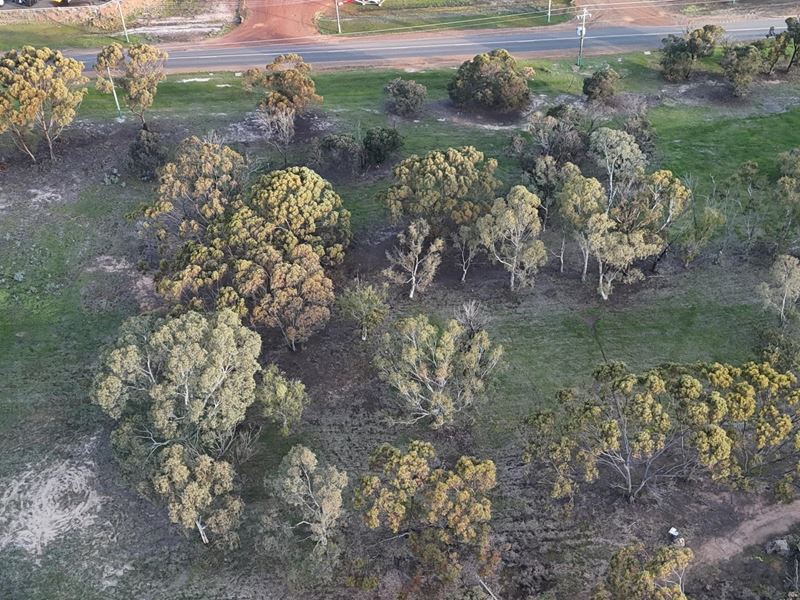 Lot 307,  Katanning-Nyabing Road, Katanning WA 6317