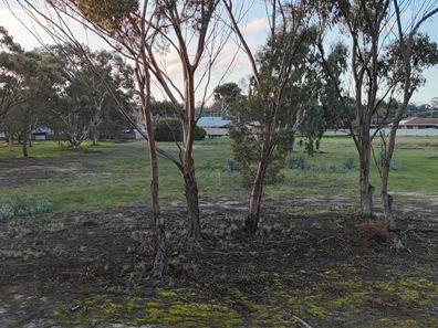 Lot 307,  Katanning-Nyabing Road, Katanning WA 6317