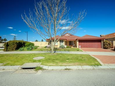 24 Wiltshire Entrance, Butler WA 6036