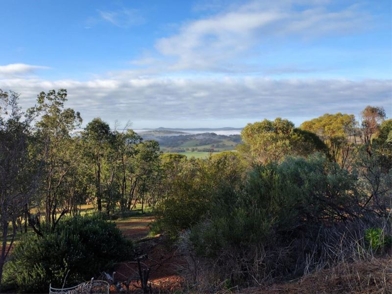 264 Timber Creek Crescent, Coondle