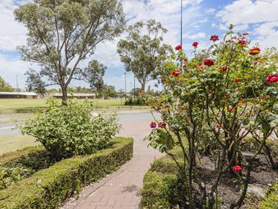 14 Sanderling Grove, Ballajura WA 6066