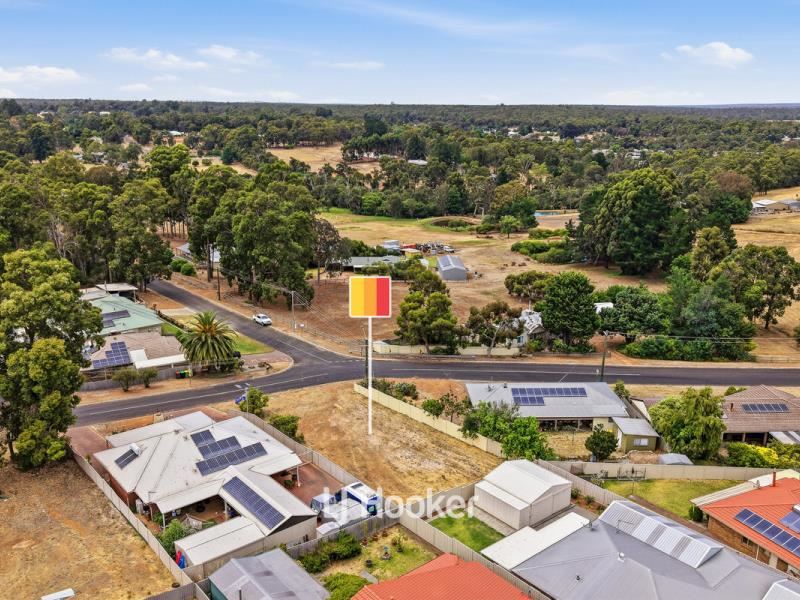 291 Steere Street N, Collie