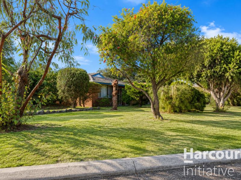 41 Whitehouse Drive, Koondoola