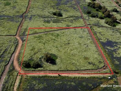 Lot 256 Essex Street, Northampton WA 6535