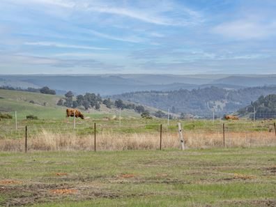 PL 80 South Western Highway, Hester Brook WA 6255