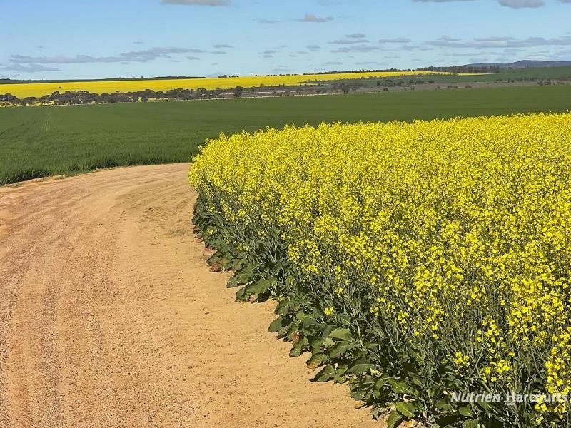 127 Mailey Road, West Ballidu