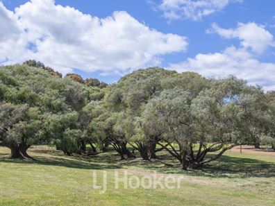3 Plumage Close, Margaret River WA 6285