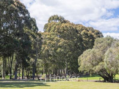3 Plumage Close, Margaret River WA 6285