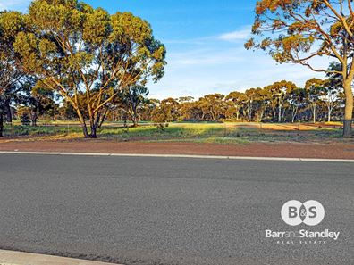 7 Jones Street, Kondinin WA 6367