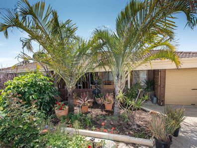 14 Irene Place, Beldon WA 6027