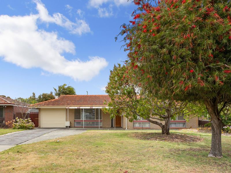 11 Armstrong Road, Wilson