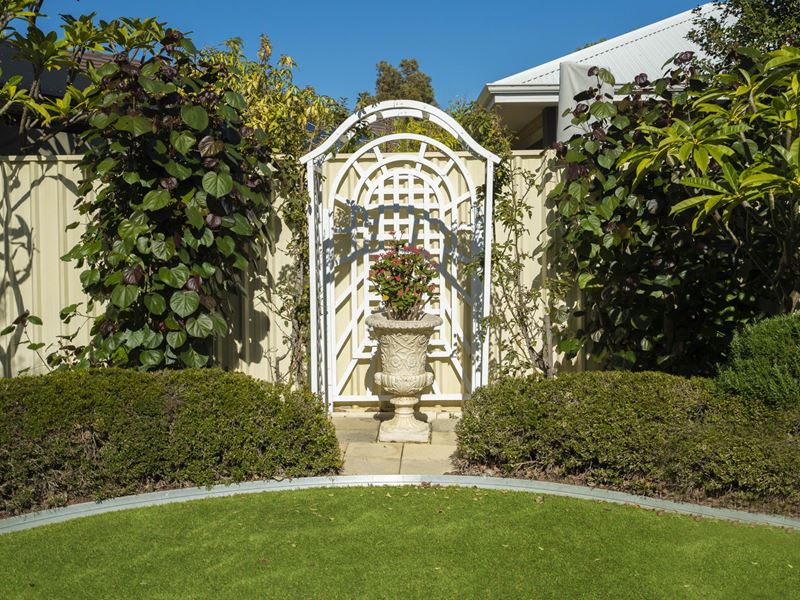 38 Carpenteria Drive, Stirling