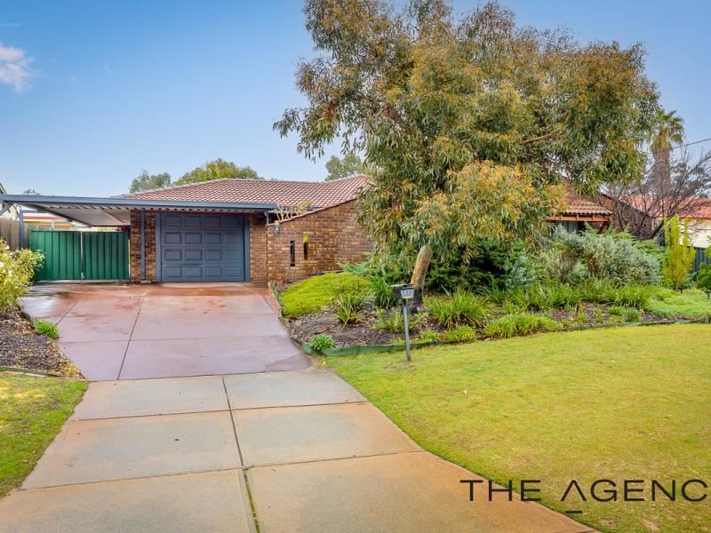 17 Woolley Street, Willetton WA 6155