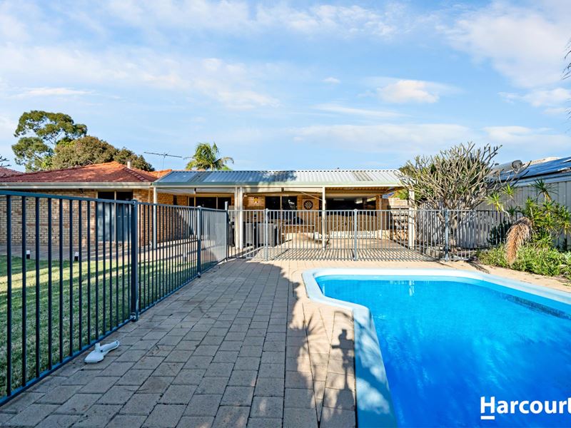 7 Lupin Court, Hocking WA 6065