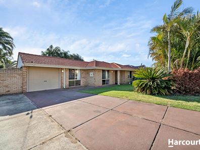 7 Lupin Court, Hocking WA 6065