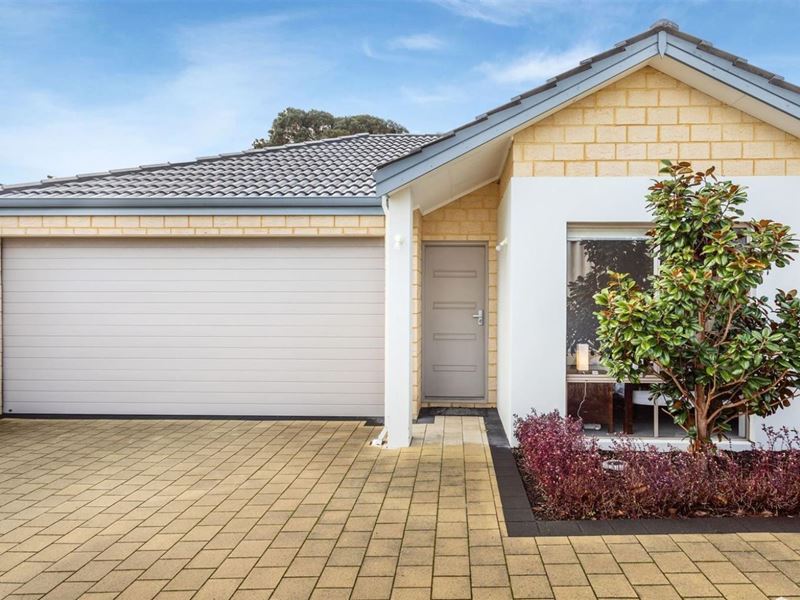 43B Halley Street, Innaloo WA 6018