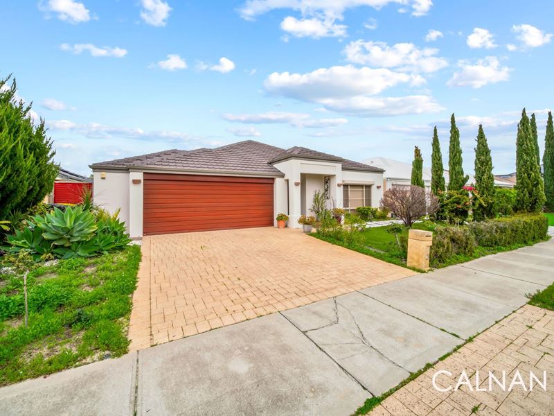 20 Martagon Street, Southern River WA 6110