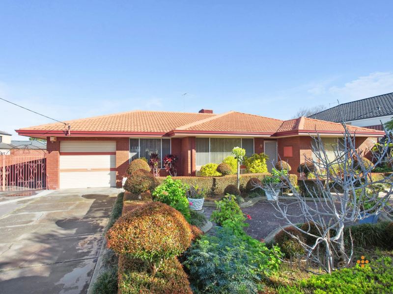 4 Halkin Pl, Hamilton Hill WA 6163