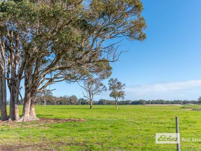 271 Wilson Road, Mount Barker WA 6324