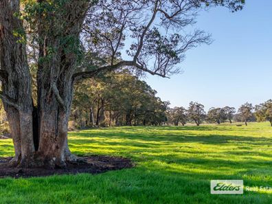 271 Wilson Road, Mount Barker WA 6324