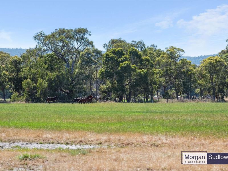 360 Henderson Road, Hopeland