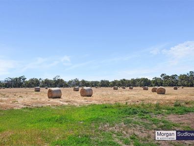 360 Henderson Road, Hopeland WA 6125