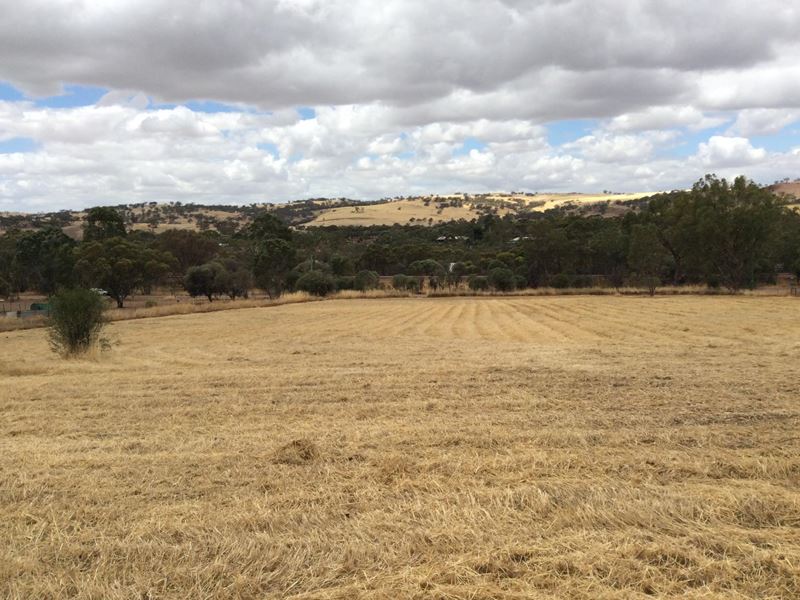 Lot 41 Julimar Road, Toodyay