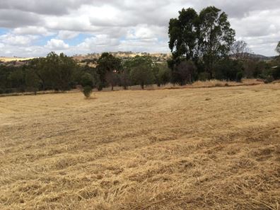 Lot 41 Julimar Road, Toodyay WA 6566