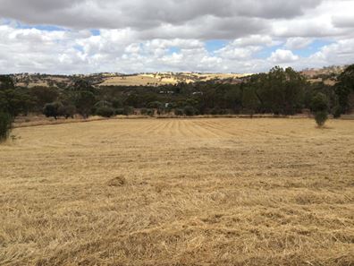 Lot 41 Julimar Road, Toodyay WA 6566