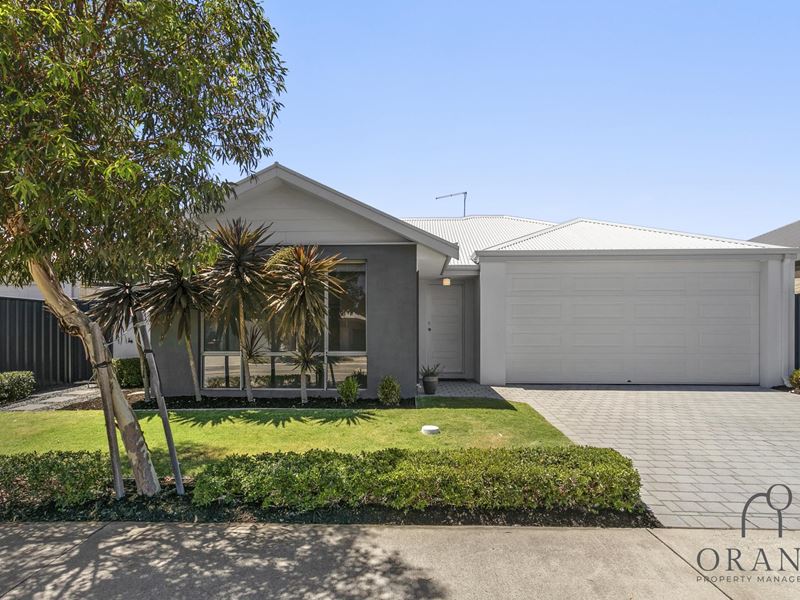 132 Butterleaf Road, Baldivis WA 6171