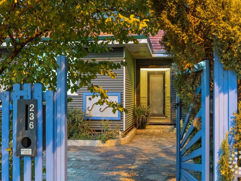 236 Carrington St, Hilton
