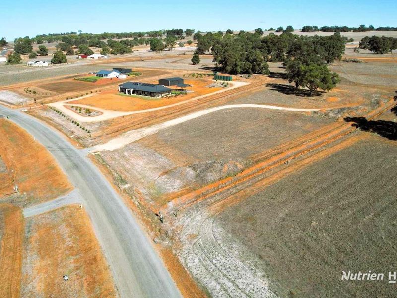 61 Daviesia Fairway, Ginginup WA 6503