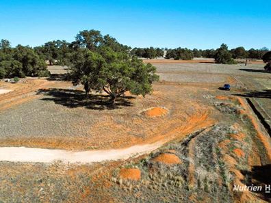 61 Daviesia Fairway, Ginginup WA 6503