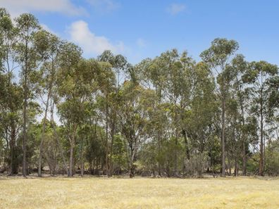 Stage 2B Preston River Rise, Boyanup WA 6237