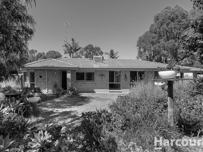 33A Carthage Road, Falcon