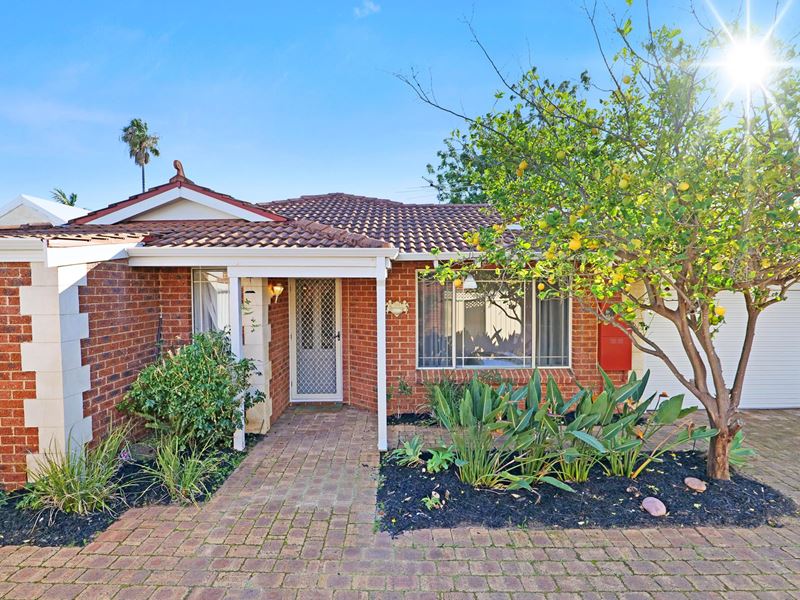181B Flamborough Street, Doubleview