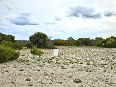 206 Banksia  Road, Hopetoun WA 6348