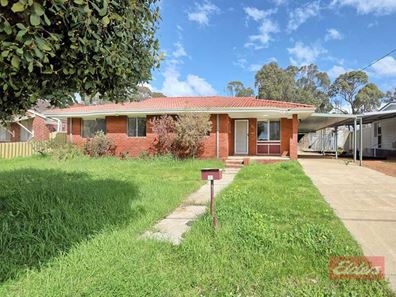 51 Hough Street, Narrogin WA 6312