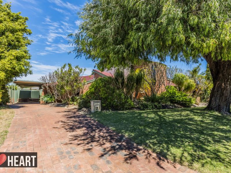 19 Greenham Place, Bibra Lake