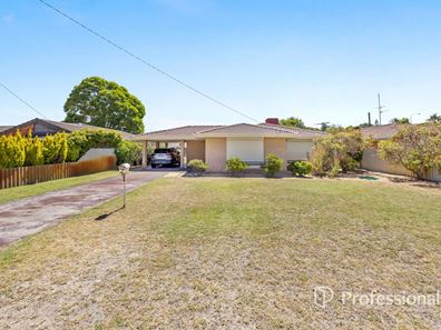 4 Cousins Avenue, Usher WA 6230