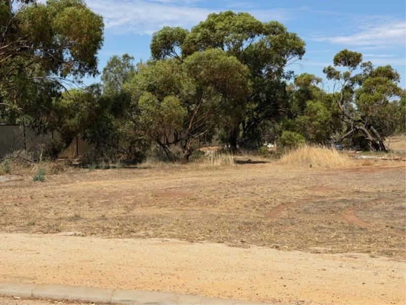 12 Fogarty Street, Mingenew WA 6522