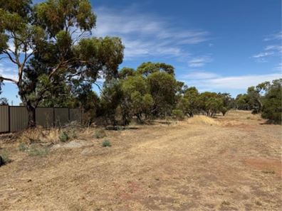 12 Fogarty Street, Mingenew WA 6522