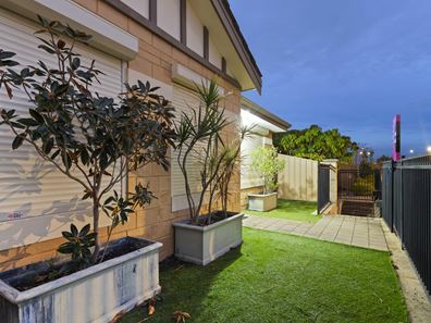 16 Darton Loop, Bertram WA 6167
