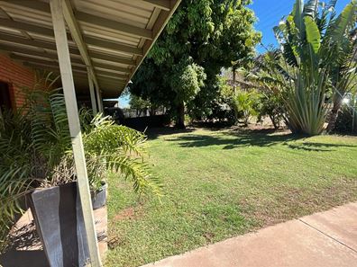 52 Barringtonia Avenue, Kununurra WA 6743