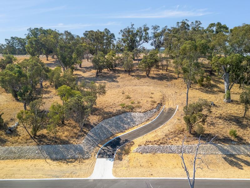 Lot 816 Messmate Grove, Baldivis WA 6171