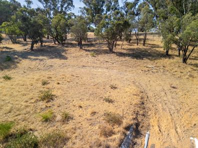 Lot 816 Messmate Grove, Baldivis WA 6171